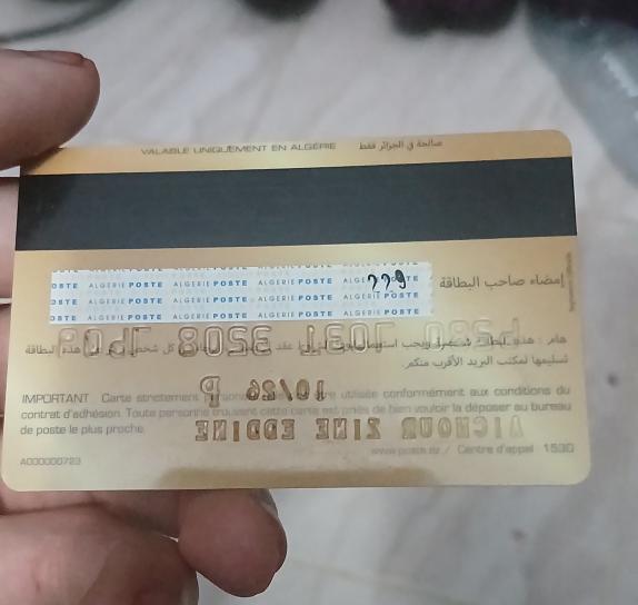 بببببببببببببببببب